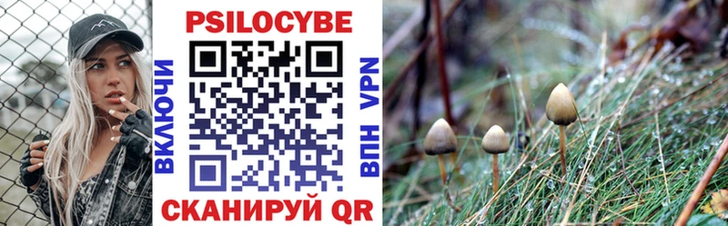 Псилоцибиновые грибы Magic Shrooms Купить Воткинск